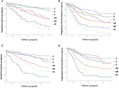 Integration of 18-FDG PET/CT in the Initial Work-Up to Stage Head and Neck Cancer: Prognostic Significance and Impact on Therapeutic Decision Making